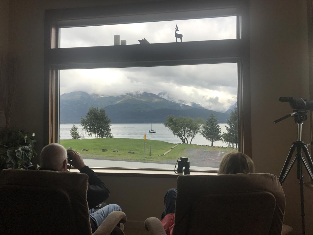 Seward Front Row Bed And Breakfast Kültér fotó